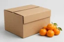 5 ply corrugated kinnow export box 10 kg size on plain background